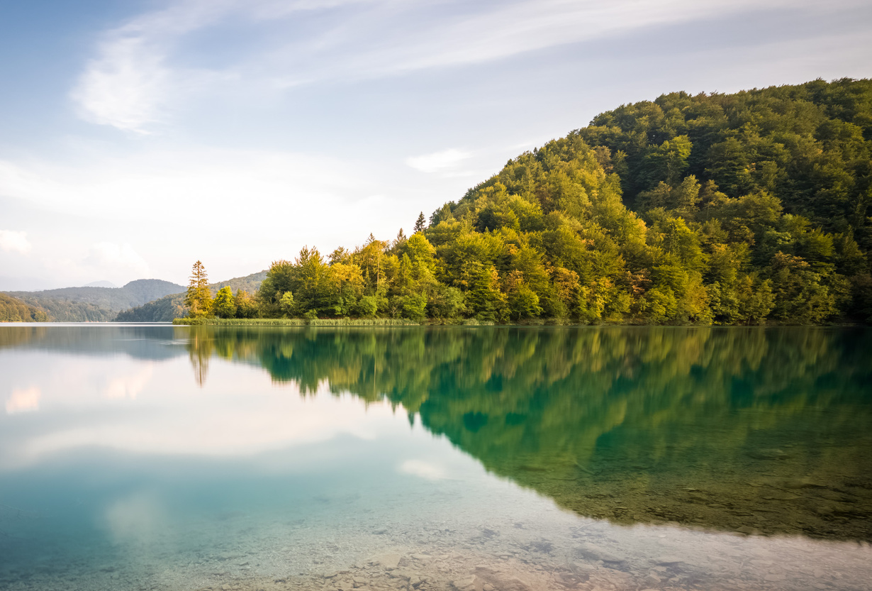 The sounds of nature